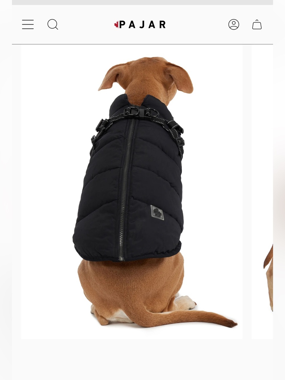Pajar ATLAS Puffer jacket Black Quilted Dog Coat with Harness
